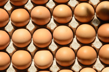 The egg cassette contains eggs with brown shells. Solar lighting. Concept - Healthy Eating