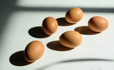 On a white background, eggshells cast a dark shadow. Solar lighting. Concept - healthy eating, teamwork.