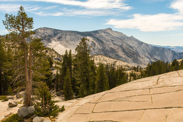 Views from Olmsted Point of the natural environment of Yosemite National Park, California, USA
