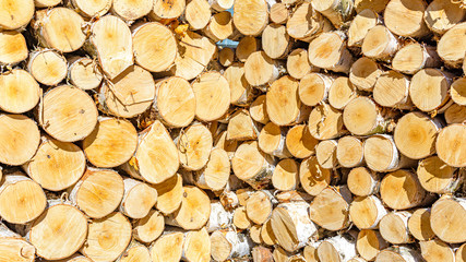 Sawn logs from birch trunks are stacked in a corner stack