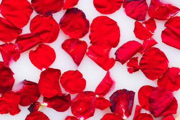 Red rose petals in white water or milk. Aromatherapy with rose petals in bath