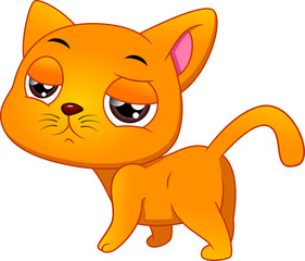 cute cat cartoon on a white background