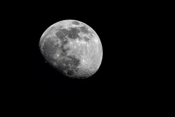 mond