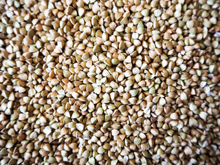 Raw green buckwheat . Triangular shaped seeds . Organic food