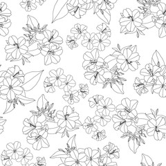 Flowers line art isolated illustration seamless pattern