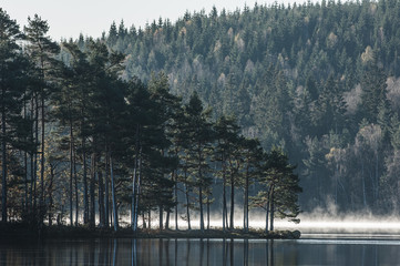 Panele Szklane  Przylądek z drzewami na jeziorze nieruchomym, Szwecja.
