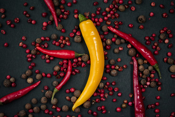 Red and yellow Pepper on  a black background.