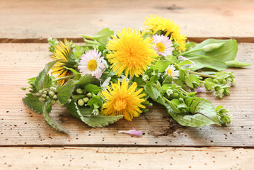 essbare Blüten Blätter Wildkräutersalat Wilder Salat Wildkräuter Salat 