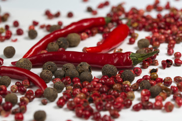 Red Pepper on a white background.