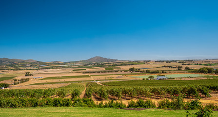 Fototapeta na wymiar South African Wine Country Paarl from Top in Panorama Style