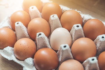 Metaphor for being different or outsider: Brown eggs and one white egg in a basket