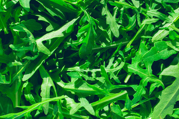The arugula salad  as background