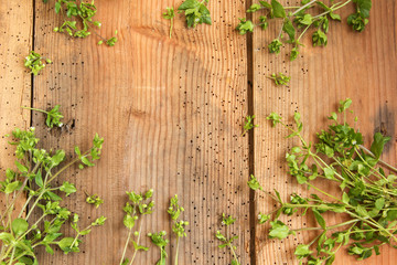 Vogelmiere Tisch Brett Unkraut sammeln essen Hintergrund