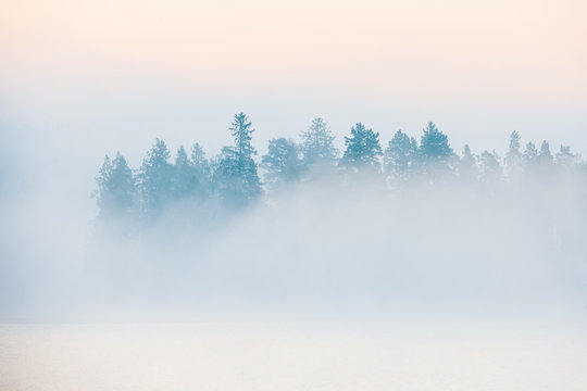 Misty lake in front of trees, Sweden. © Mikael