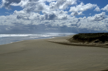 Ninety mile beach, Northland, New Zealand