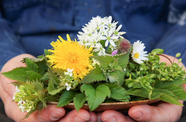 essbare Blüten Blätter Wildkräuter Wildkräutersalat Salat Wild Kräuter Schale Hand Hände