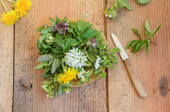 Wildkr&auml;utersalat Wild Kr&auml;uter Salat Tisch Giersch Knoblauchsrauke L&ouml;wenzahn B&auml;rlauch Vogelmiere