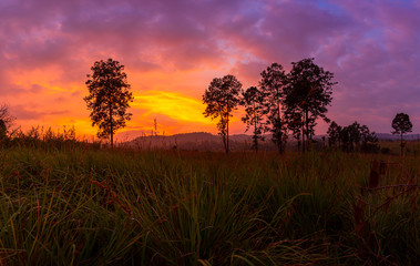Fototapeta premium Beautiful sunset sky with birds,