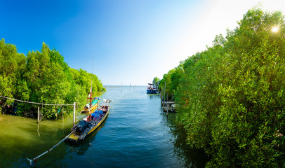 Fototapeta na wymiar Small tour boat waiting for tourists in the mangrove forest.