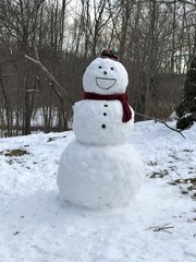 A snowman dressed up and with a big smile in a yard after snowfall 