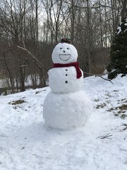 A snowman dressed up and with a big smile in a yard after snowfall 