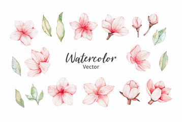 Vector Watercolor botanical illustration. Pink cherry blossom. Collection with gentle flowers, bud, branches and green leaves. Perfect for wedding invitations, cards, frames, posters, packing.
