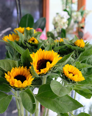 A bouquet of sunflowers on a soft floral background.