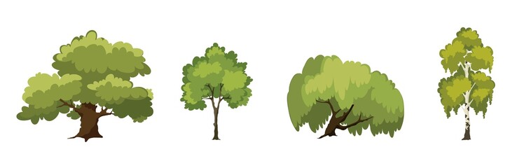 Set of images of trees. Vector illustrations, oak, birch, willow, maple.