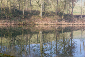 Fototapeta na wymiar View of a lake in the English countryside on an autumn morning with reflected trees
