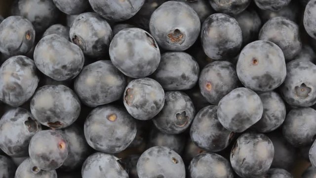 fresh blueberry fruits rotating closeup selective focus