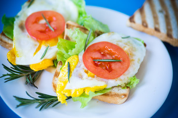 fried toasts with egg, salad, tomato in a plate