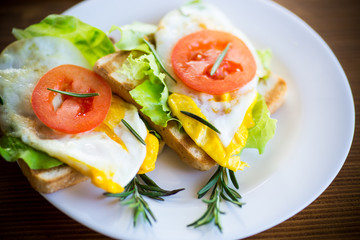 Fototapeta na wymiar fried toasts with egg, salad, tomato in a plate