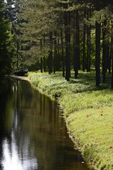 Tsarskoye Selo is a museum-reserve in the city of Pushkin (St. Petersburg). Grand Catherine Palace and Catherine Park.