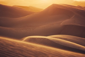 Sand dunes in desert landscape at sunset