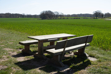 benches wooden table stand on nature for relaxation