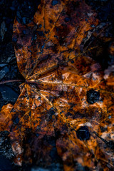 Texture