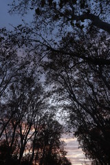 Obraz premium atardecer