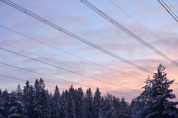 Winter landscape of pine woods with high voltage power lines in the air