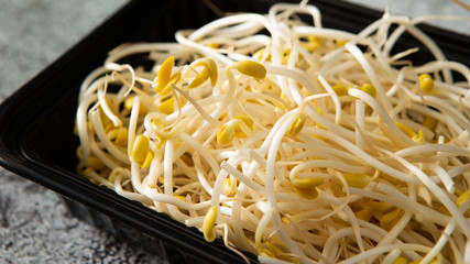 Bean sprout in black plastic container 