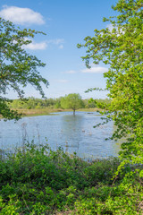 nature in Arnhem, Netherlands