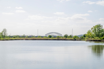 Fototapeta premium nature in Arnhem, Netherlands