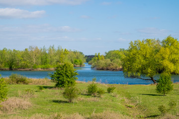 nature in Arnhem, Netherlands