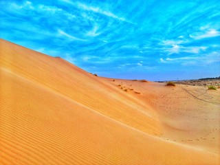 Fototapeta na wymiar Sand dune in desert and blue sky