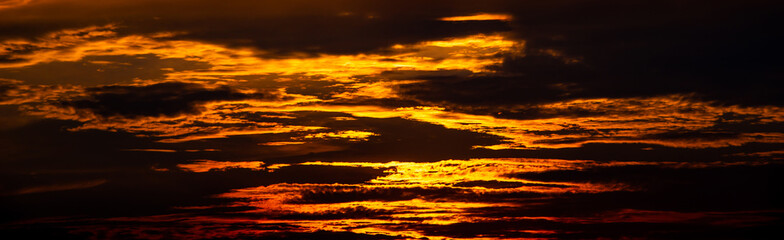 Amazing sunset and sunrise.Panorama silhouette tree in africa with sunset.Beautiful blazing sunset...