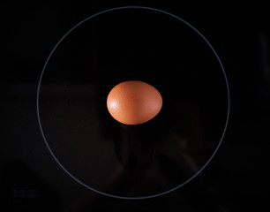 Organic egg on a black background