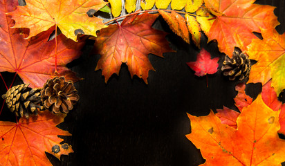 autumn background with colored leaves on wooden board	