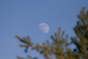 Mond