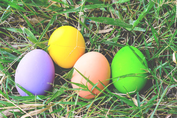 Easter eggs in Fresh Green Grass