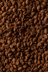 Granos de café cubiertos de cacao