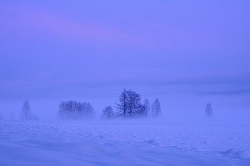 Fototapeta na wymiar Foggy, misty and snowy winter evening with purple and pink sunset.